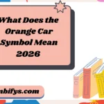 What Does the Orange Car Symbol Mean